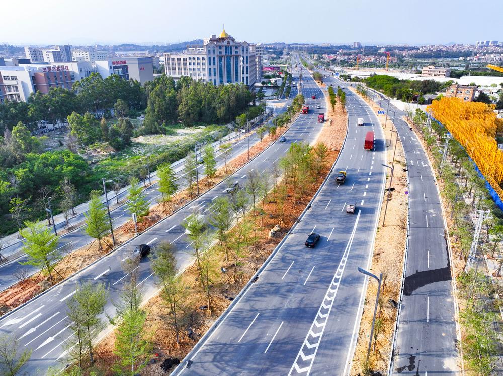 石狮一干道添新绿