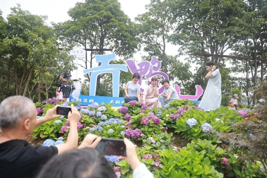 氧护身心，境归自然｜华安，闽式康养的理想栖居地