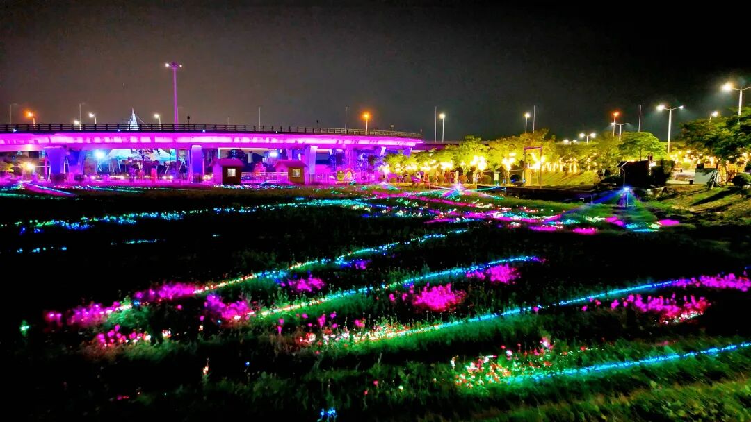 免票！漳州麦浪灯海，来了！