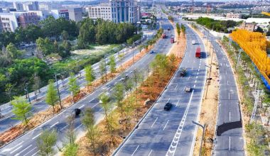 石狮一干道添新绿