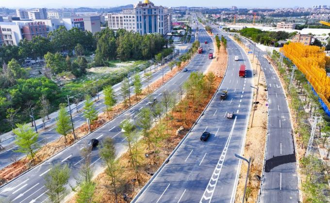 石狮一干道添新绿