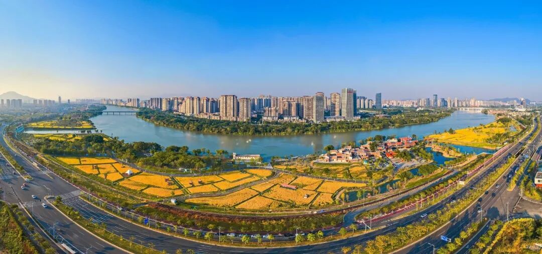 城市更新，要跳出项目看项目——专访漳州高新区党工委书记陈建进