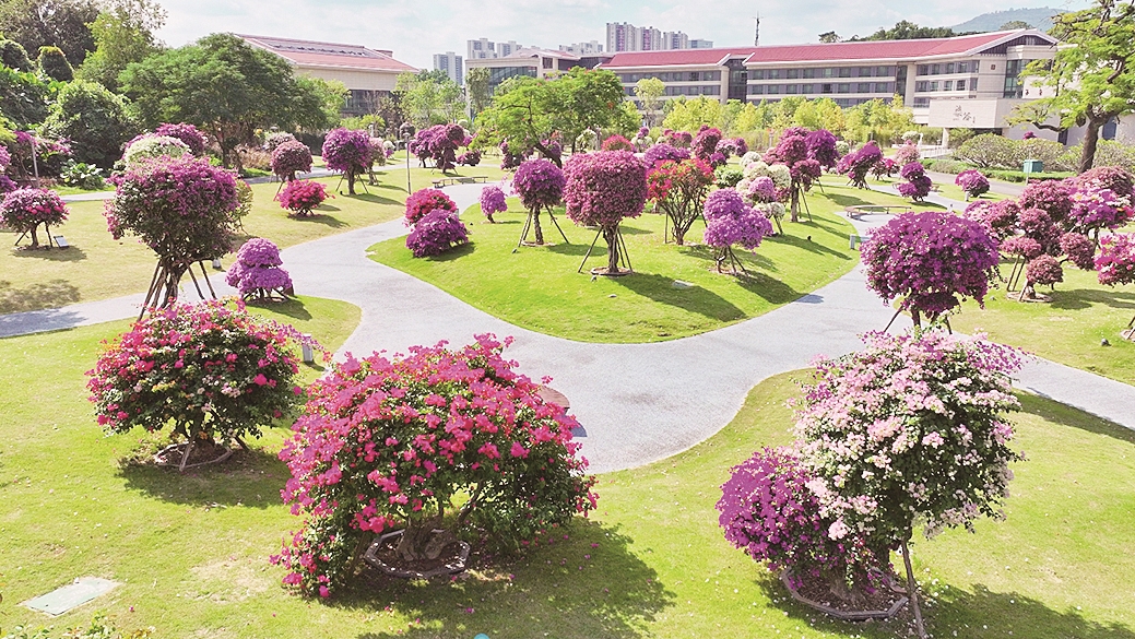 漳州：花漾高新区 滨水会客厅