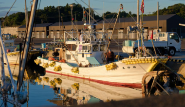 中东局势波及日本渔业 渔民忧处于“生死关头”