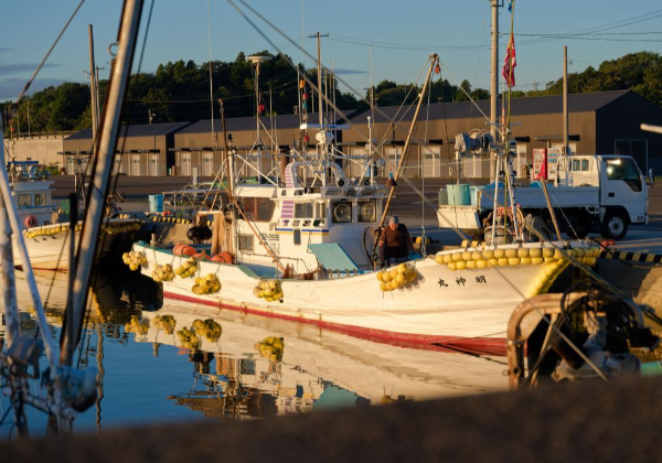 中东局势波及日本渔业 渔民忧处于“生死关头”