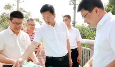 云霄县委书记到莆美镇和陈岱镇开展蹲点调研