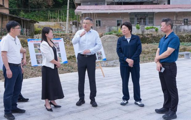 吴毓舟到芦田镇调研