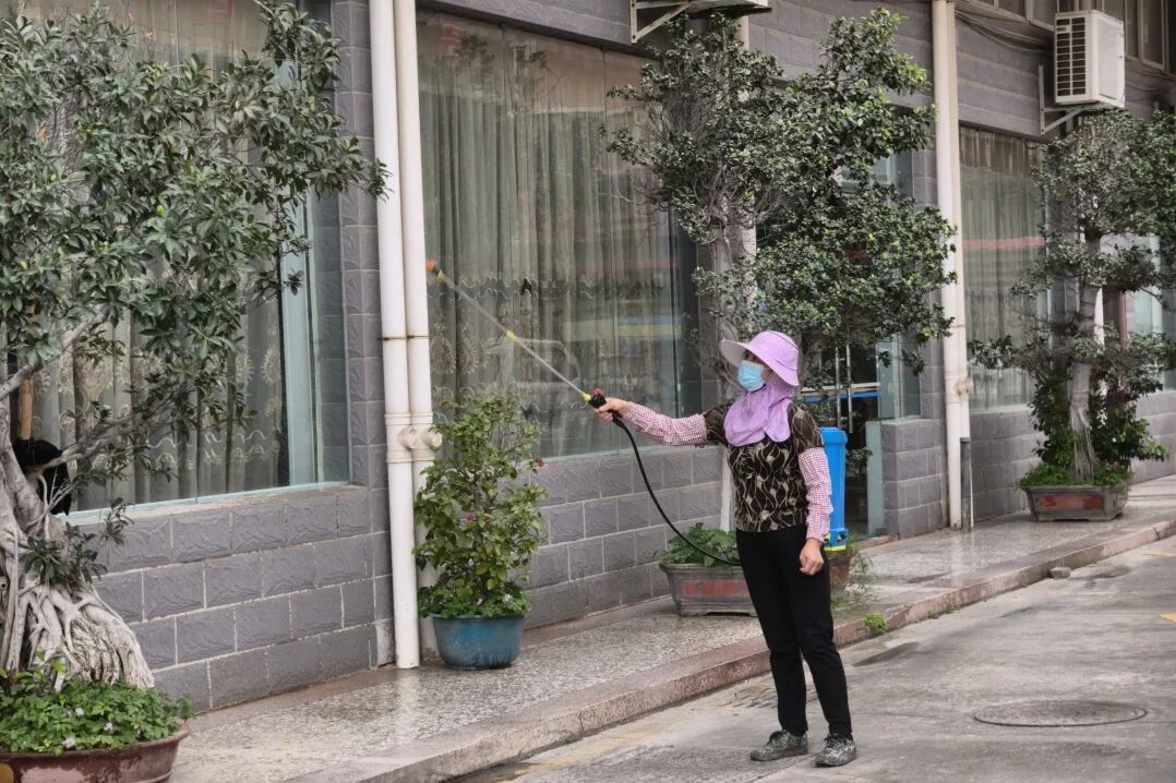 防蚊不松懈，华安多举措筑牢蚊媒传染病“防护墙”