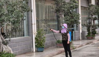 防蚊不松懈，华安多举措筑牢蚊媒传染病“防护墙”