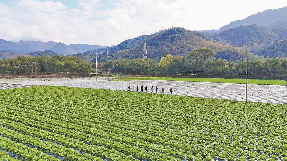 南平：好山好水种好味  
