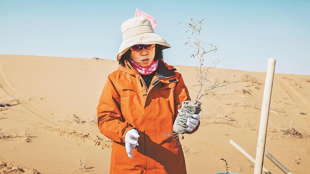 与沙漠“较劲”的种树人