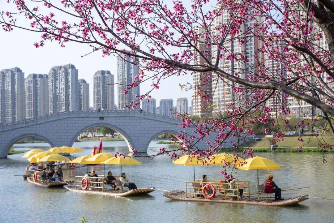 邱祺缘现场宠粉！五一来龙文，超精彩！