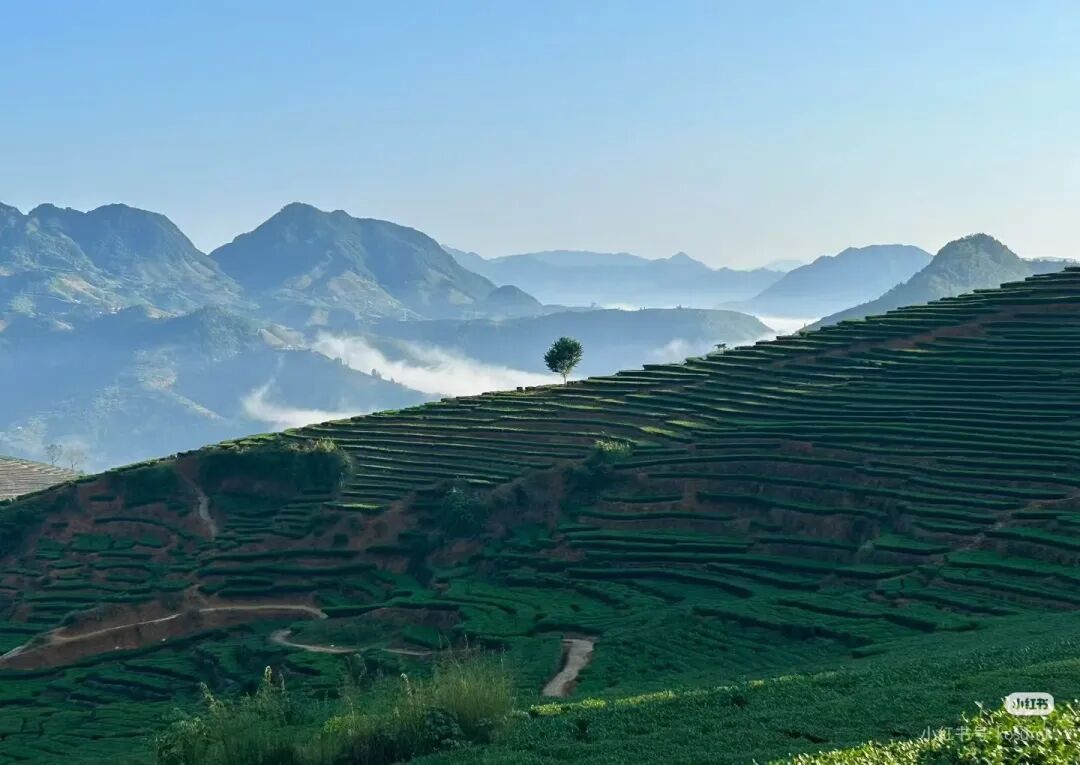 “五一”假期，沿着公路邂逅安溪茶香烟火气！