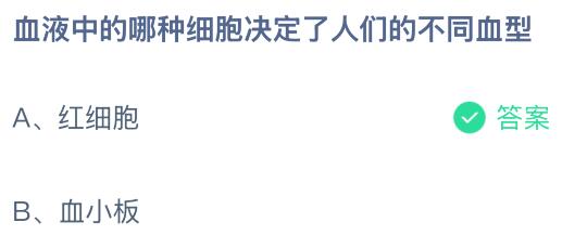 血液中的哪种细胞决定了人们的不同血型？蚂蚁庄园今日答案最新5.4