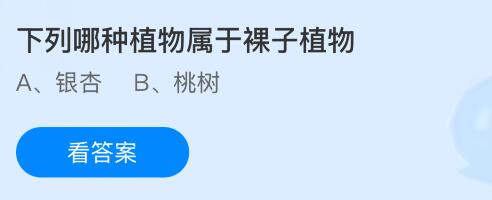 下列哪種植物屬于裸子植物？螞蟻莊園今日答案最新5.7