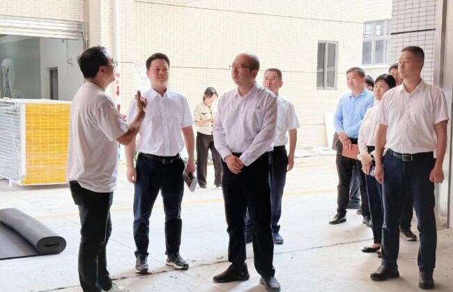 诏安县主要领导深入一线调研重点项目