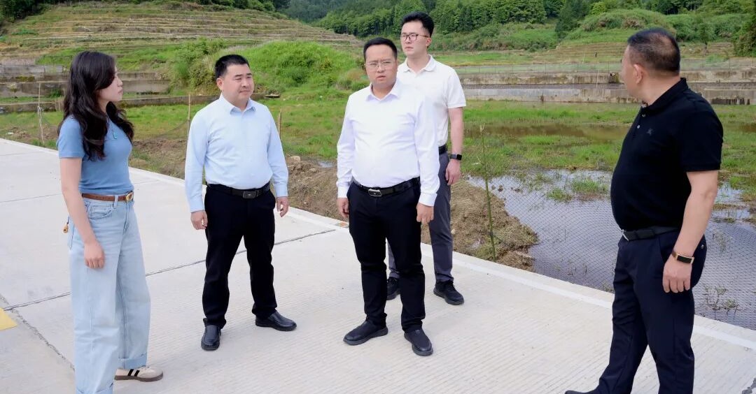 德化县委书记方俊钦调研文旅项目建设、谋划情况