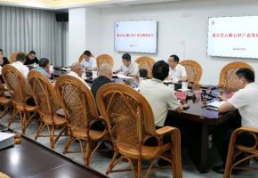 惠安县召开石雕石材产业发展座谈会