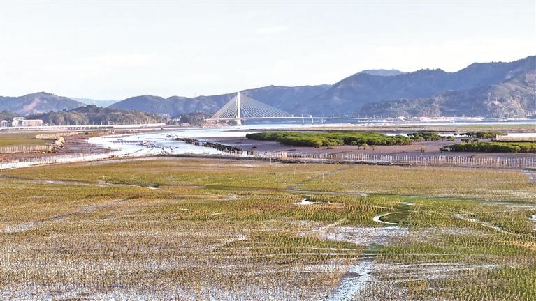 宁德：山海同频焕新颜