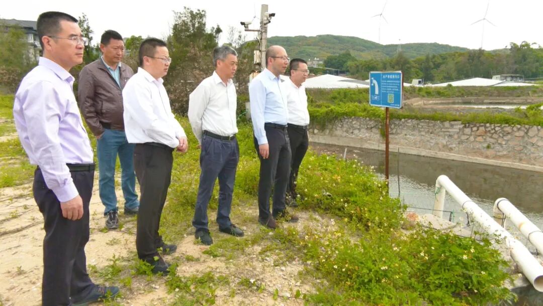 诏安县主要领导调研督导海洋渔业重点工作