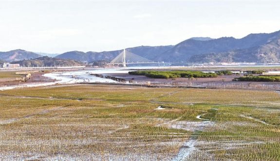 寧德：山海同頻煥新顏