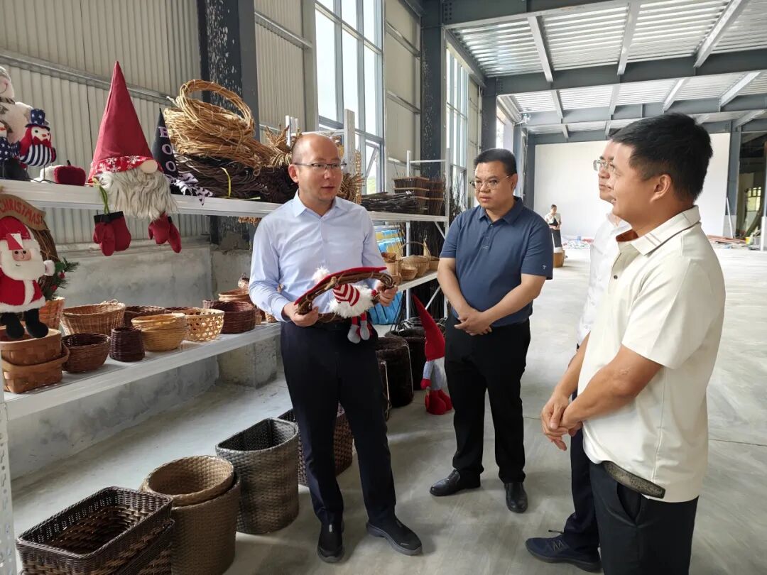 诏安县主要领导调研乡村振兴工作