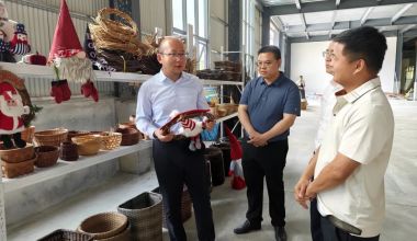 诏安县主要领导调研乡村振兴工作