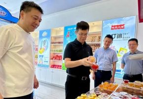 泉港区政府主要领导带队到界山镇调研招商引资、争资化债等重点工作