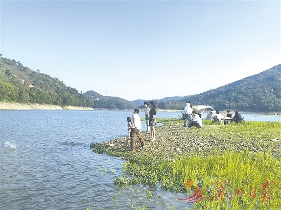 花海深处油香溢 仙游油菜种植实现农旅共生
