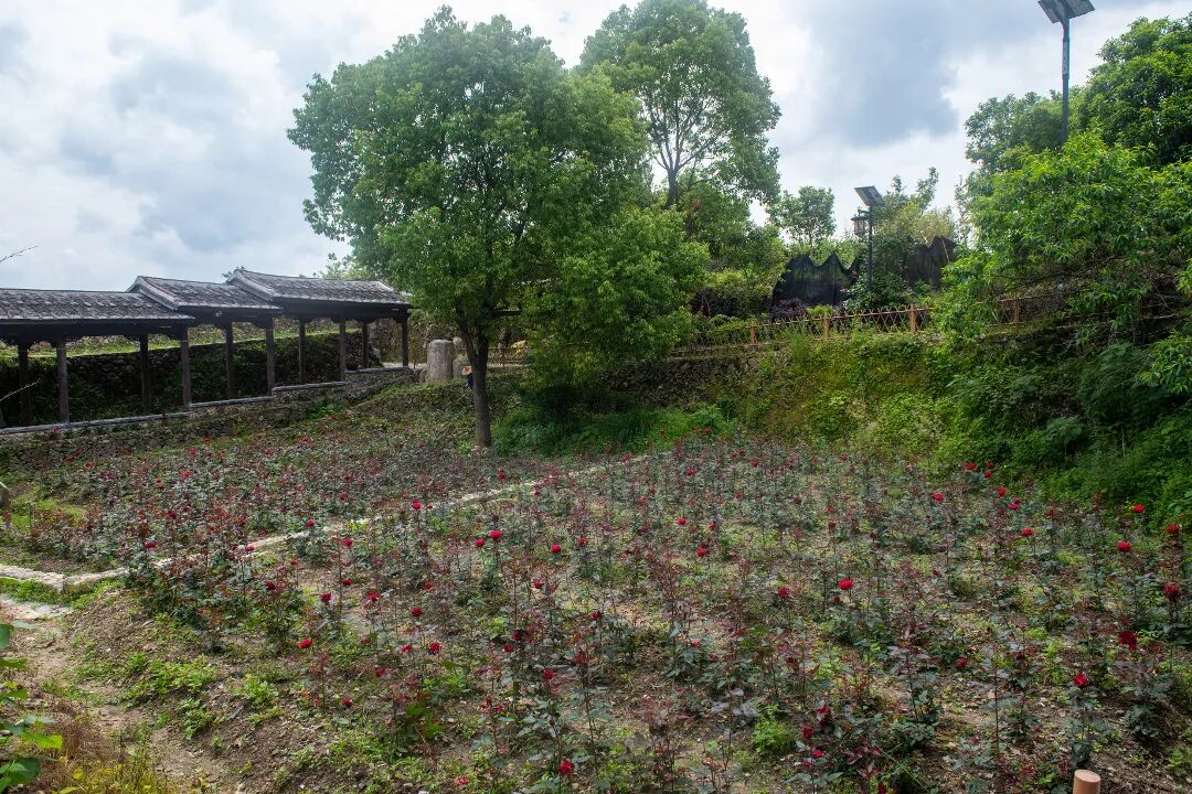 微信图片_20260514105432.jpg