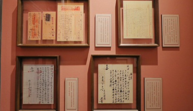 《给阿嬷的情书》刷屏！鲤城也有同款，细读泪目……