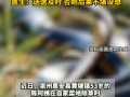 硬核自救！泉州53岁阿姨菜地被蛇咬，徒手活捉2米长眼镜蛇……医生：送医及时，否则后果不堪设想