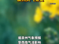 大雨！暴雨！即将抵达，泉州天气有变！