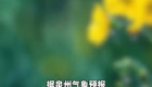 大雨！暴雨！即将抵达，泉州天气有变！