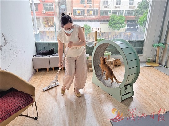 仙游 “猫妈妈” 张宁：用2000元月薪，为流浪毛孩子筑暖巢