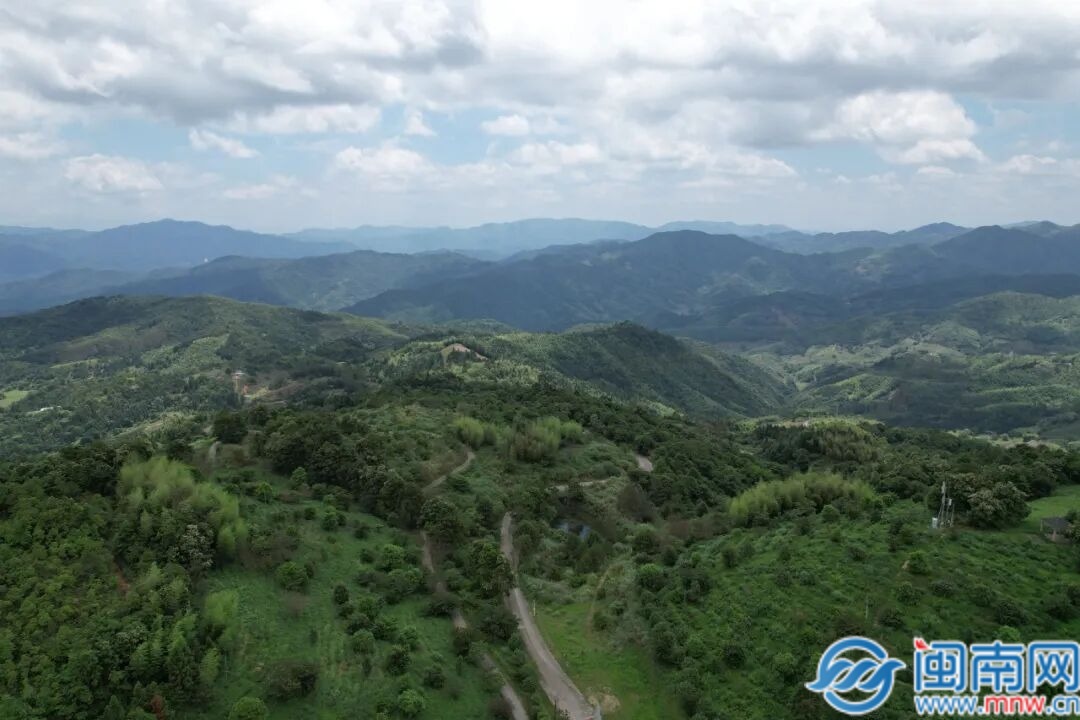 南靖县：洋顶岽 藏在高山之巅的“放心茶”