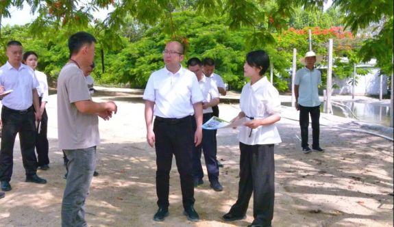 诏安县领导调研农业生产、项目建设、省际边界治理工作