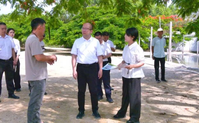 诏安县领导调研农业生产、项目建设、省际边界治理工作