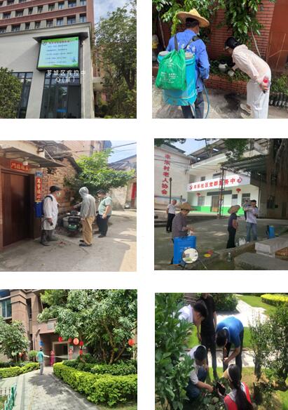 芗城多措并举开展病媒生物防制筑牢辖区健康防护屏障