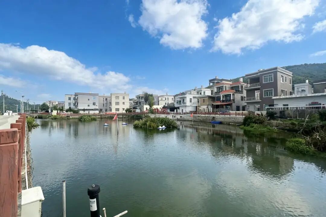 云霄聚焦农村黑臭水体整治 昔日黑臭塘蝶变生态景