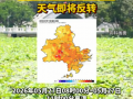 6号台风“蔷薇”生成！泉州已出现39.1℃高温！天气即将反转