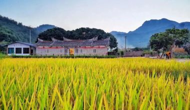 安溪这样干，乡村变了样！