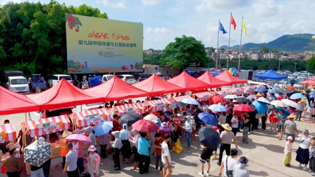乌石荔枝采摘季 (2).jpg