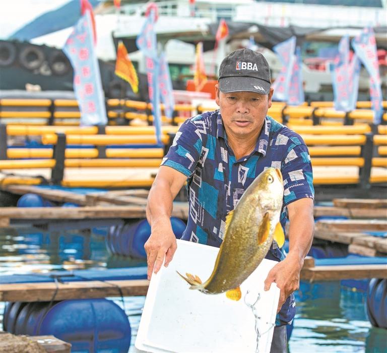宁德：从“靠海吃海”到“链上生金”