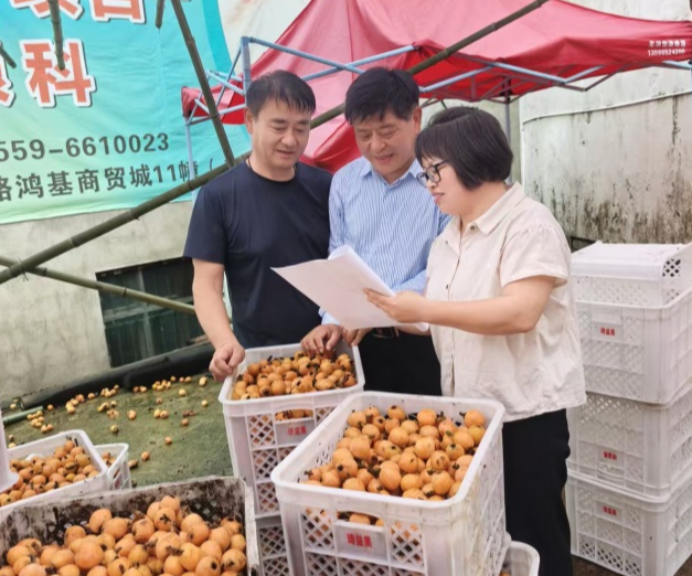 三十而立，微光成炬：千千万万国寿人的守护答卷