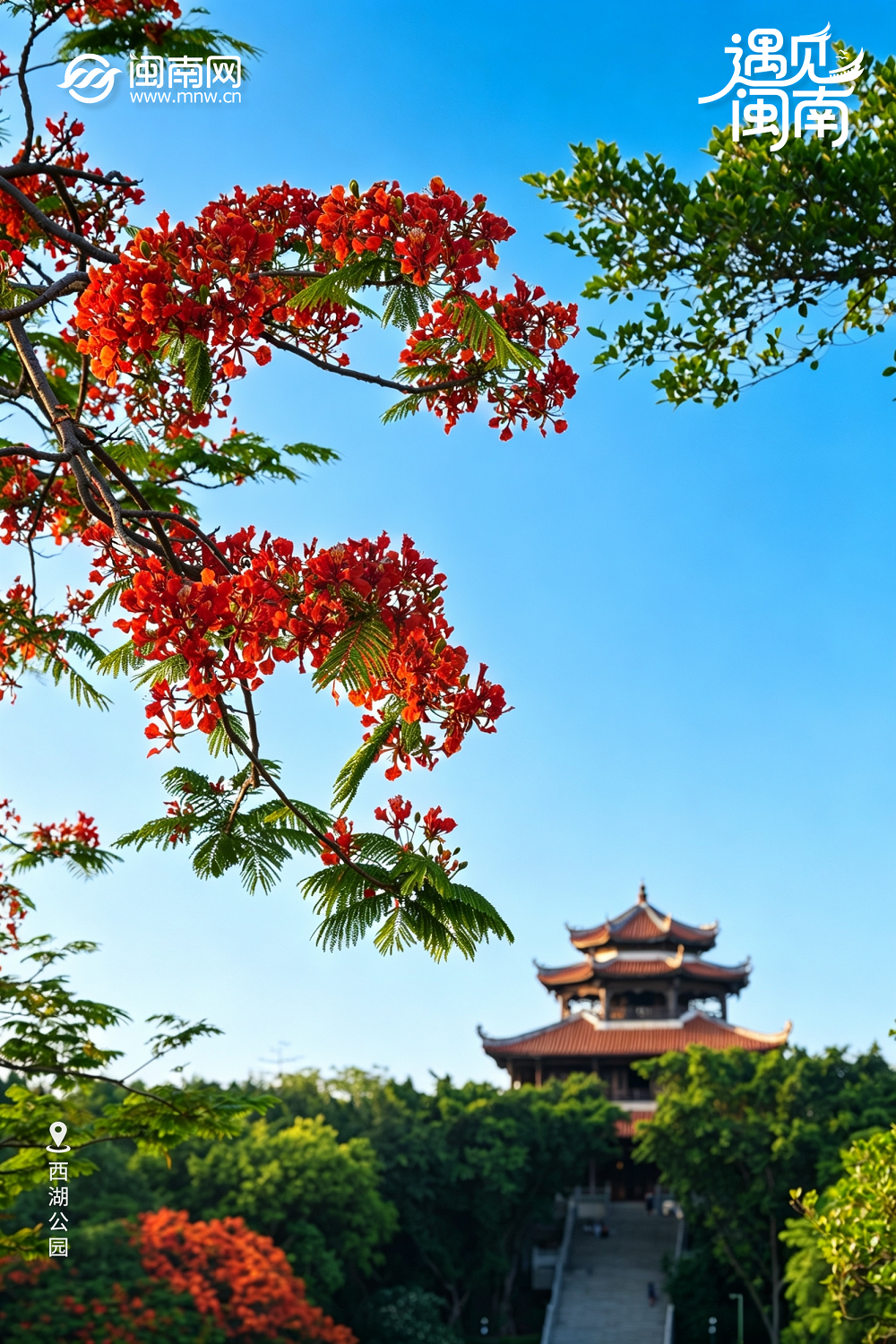 西湖公园