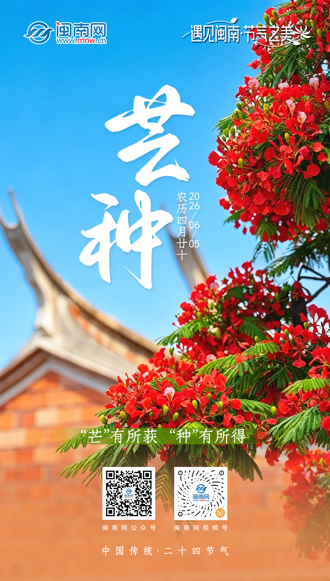 二十四节气 | 芒种：“芒”有所获 “种”有所得