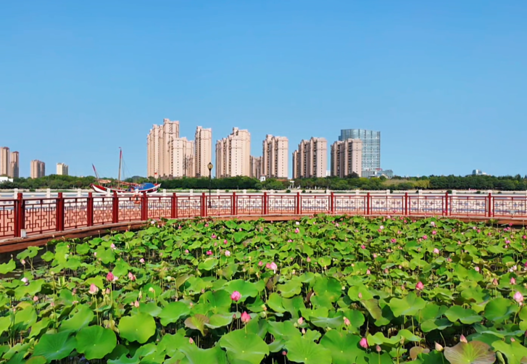 360截图20260604180905.png