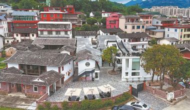 永春：政企聯(lián)合打造“民宿+美術(shù)館”