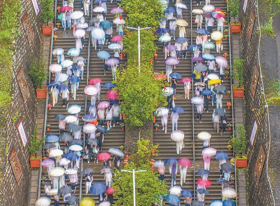 8日,细雨淅沥,福安市城北中学考点,高考学子撑伞踏阶而行,铺展出一幅“流年疾如梭”的诗意画面。记者 单志强 通讯员 吴景华 陈长赋 摄